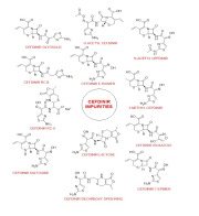 Cefdinir Impurities Standards