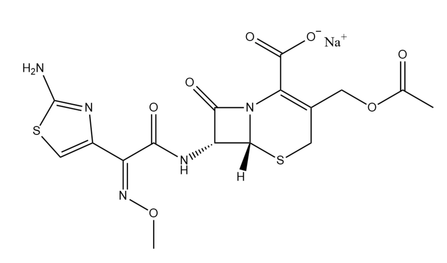 Cefotaxime Sodium and Sulbactam Sodium for Injection