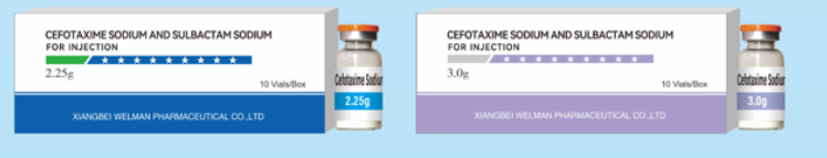 Cefotaxime Sodium and Sulbactam Sodium for Injection（2:1）