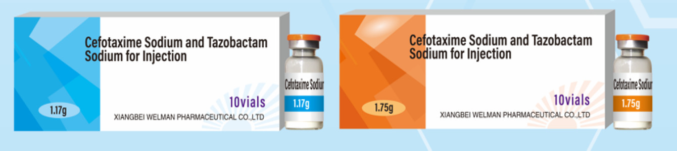 Cefotaxime Sodium and Tazobactam Sodium for Injection(6:1)
