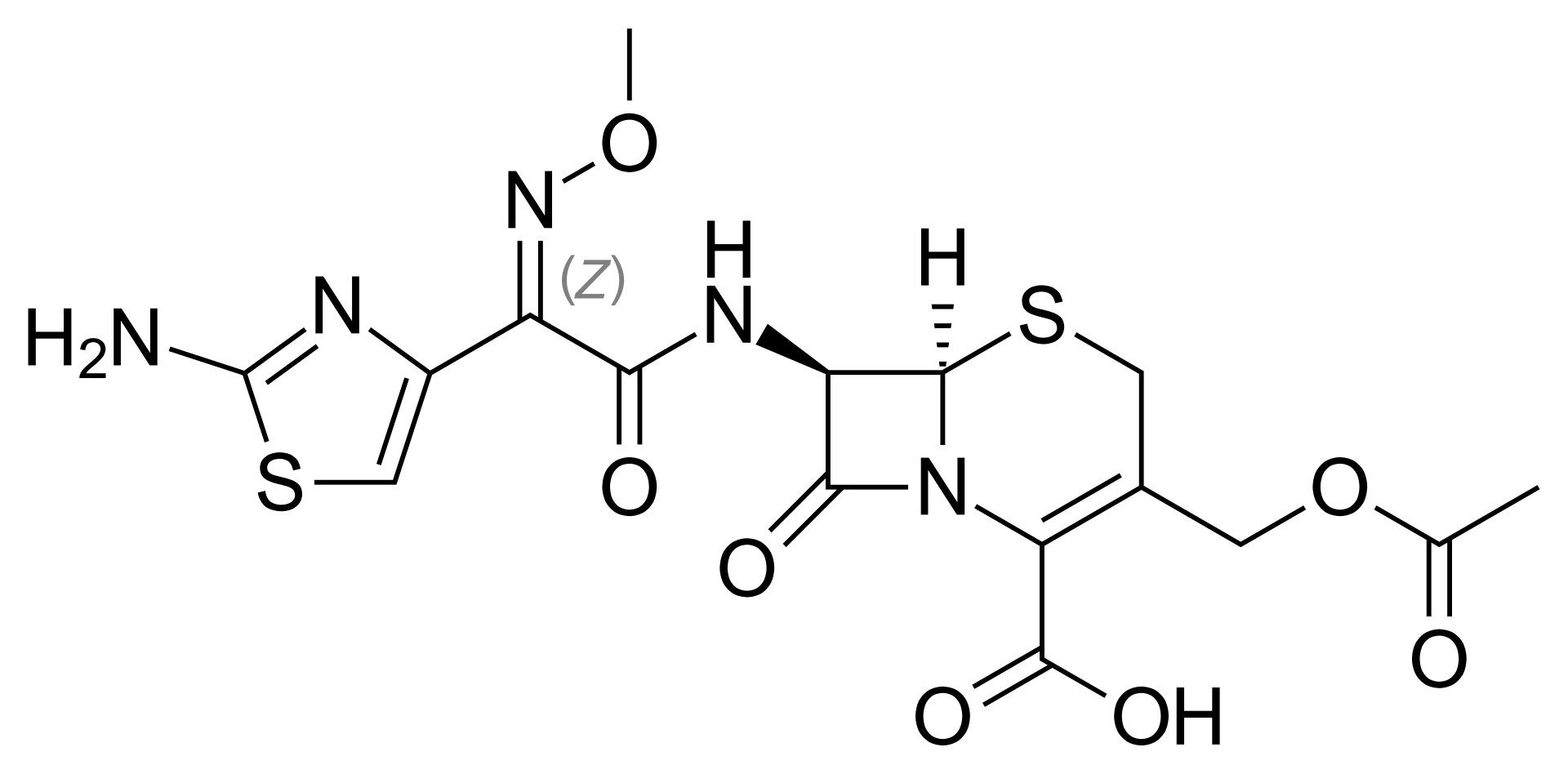 Cefotaxime Sodium Sterile USP 2