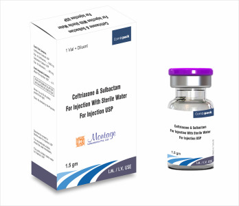 Ceftriaxone + Sulbactam Injection