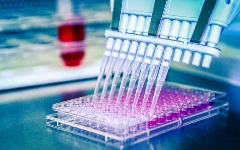 Cell-based Neutralization Assays