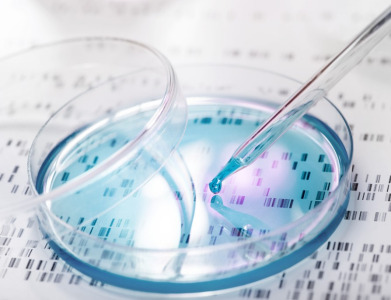 Cell Culture