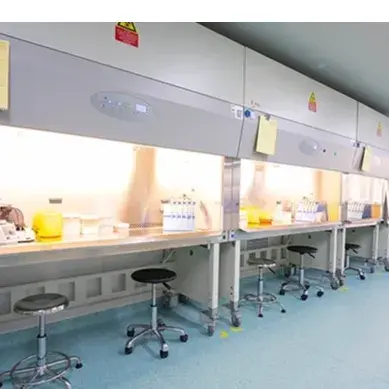 Cell Line & Cell Bank Characterization