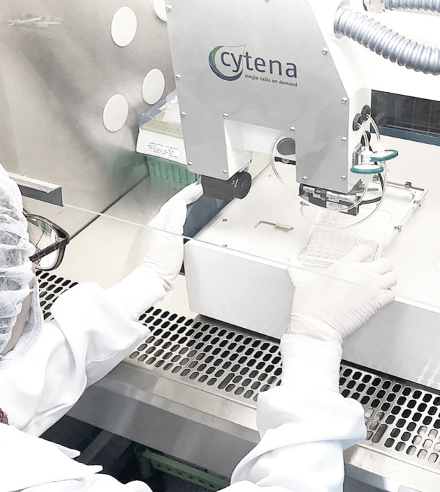 Cell Line Development