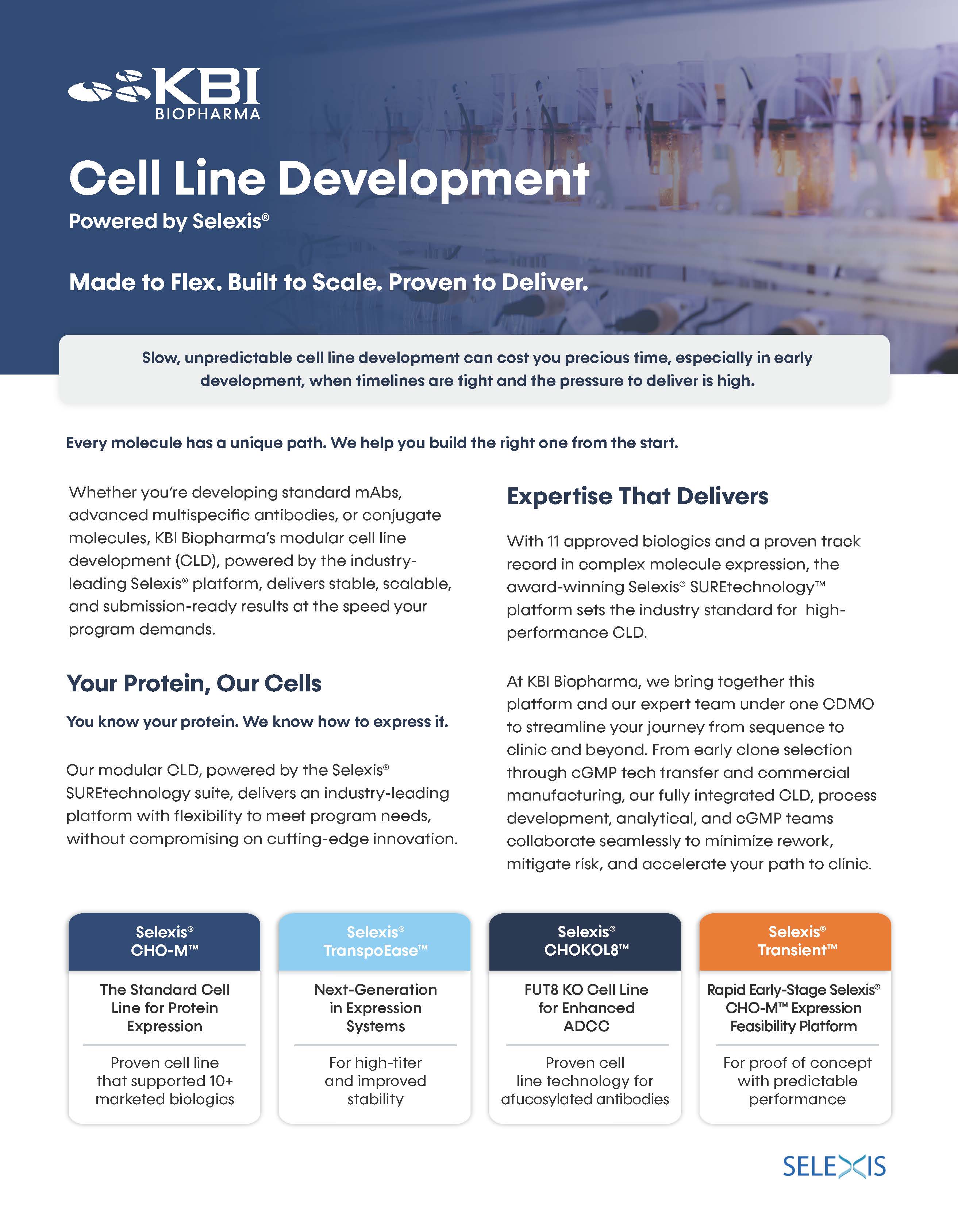 Cell Line Development