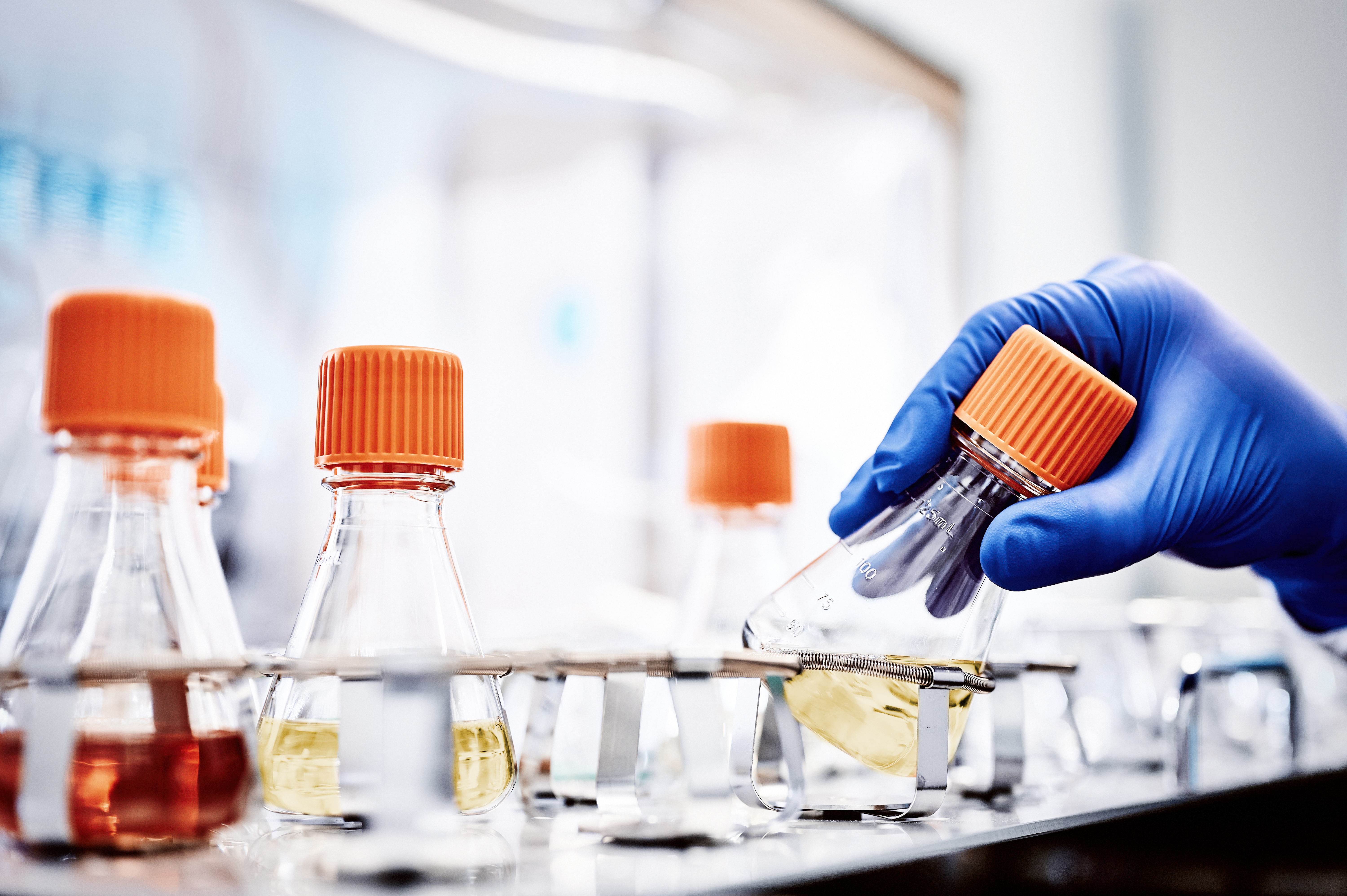 Cell Line Development services