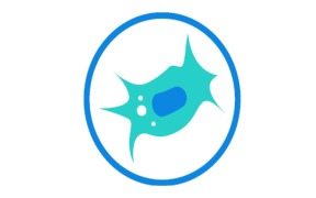 Cell therapy manufacturing