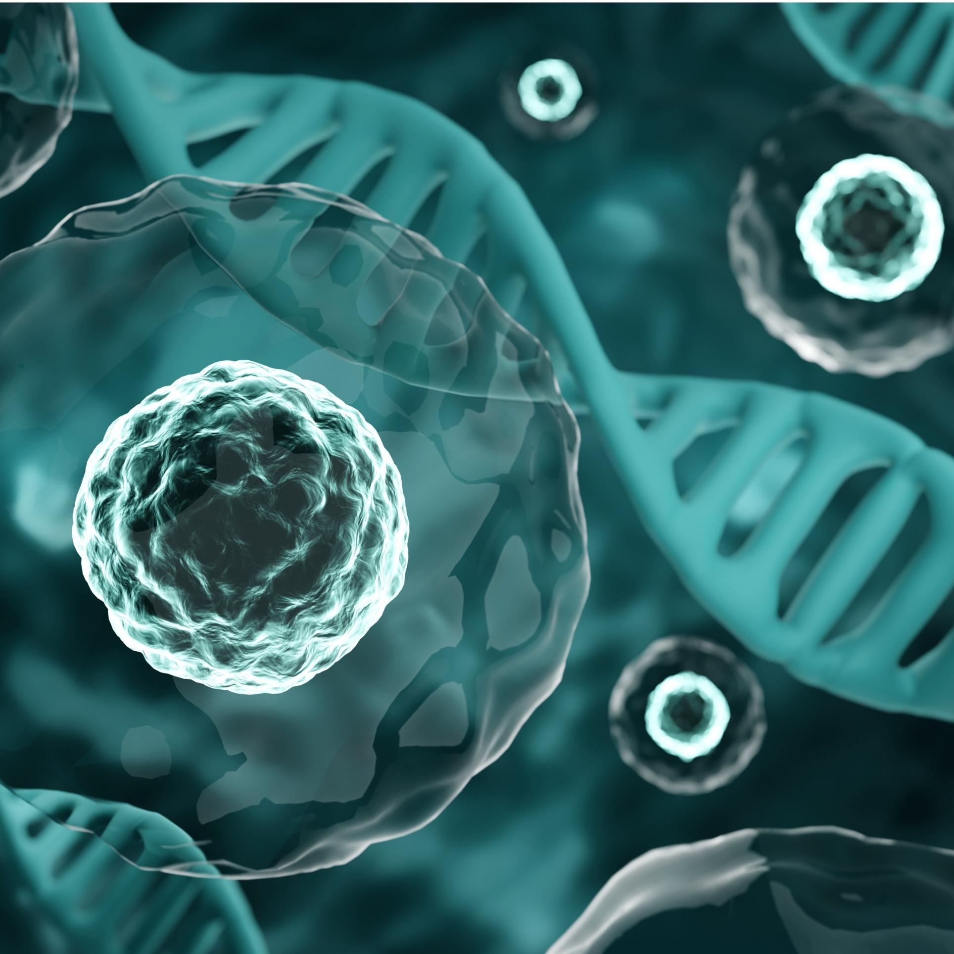 Cell Therapy Services