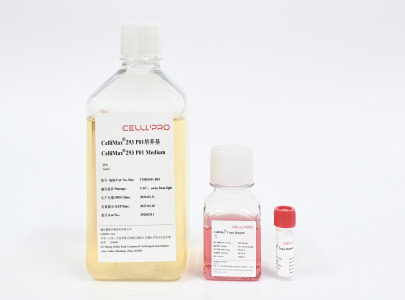 CelliMax® Trans293 Kit01 Tansfection Media HEK293 Cell Culture