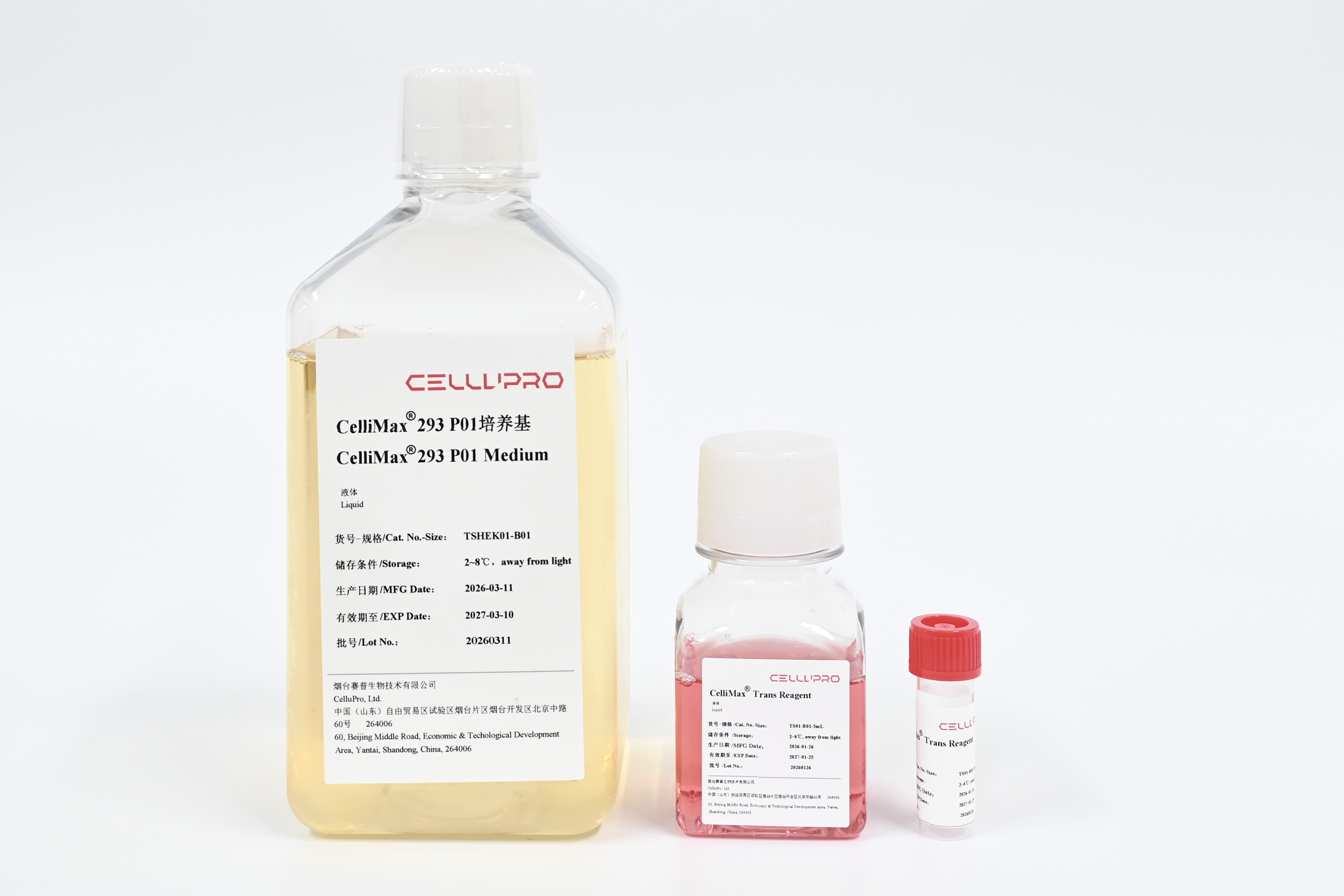 CelliMax® Trans293 Kit01 Tansfection Media HEK293 Cell Culture