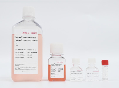 CelliMax® TransV-293 Kit03 - HEK293 Transfection Media Virus Vector Expression