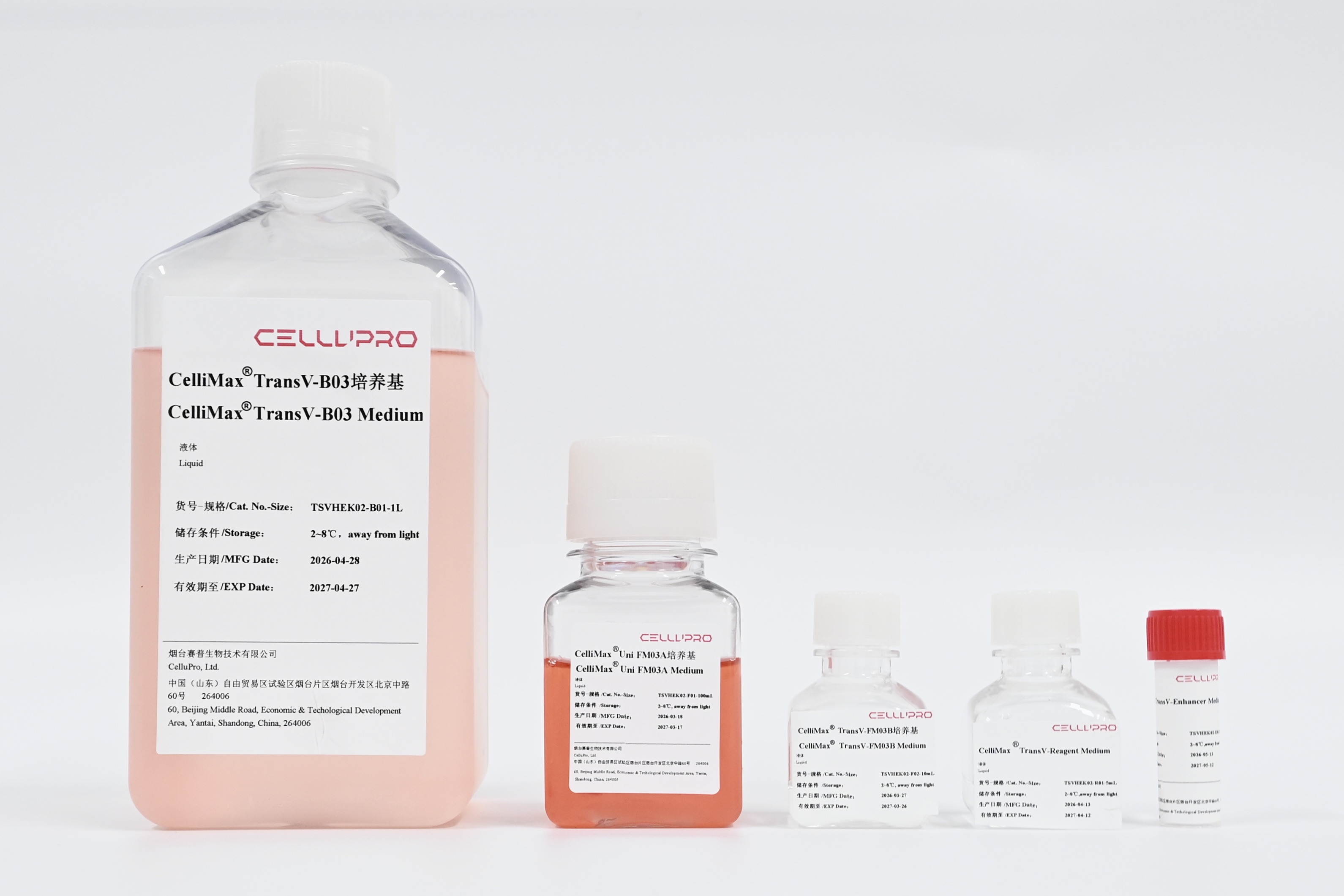 CelliMax® TransV-293 Kit03 - HEK293 Transfection Media Virus Vector Expression