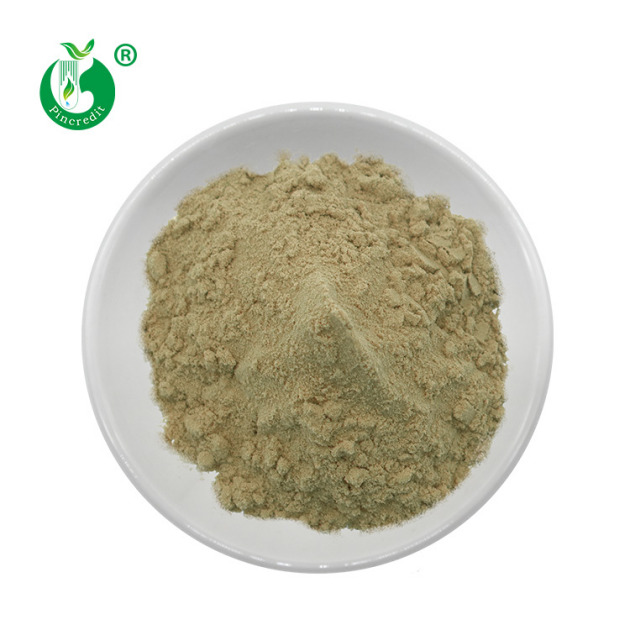 Ceramide 3 Powder