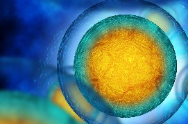 cGMP Cell-based Bioassays