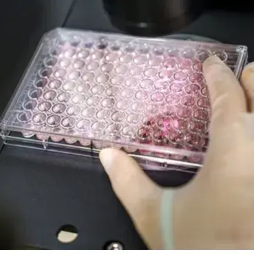 CGT & Viral Vector Biosafety Testing