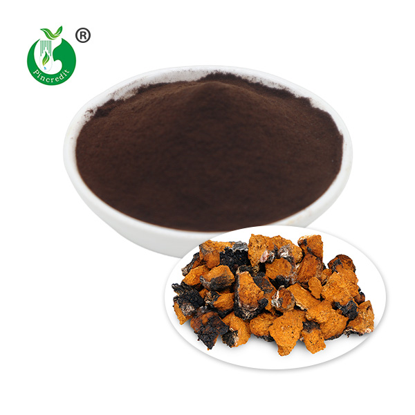 Chaga Extract Polysaccharides