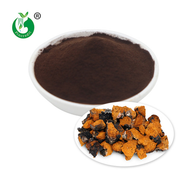Chaga Extract Polysaccharides
