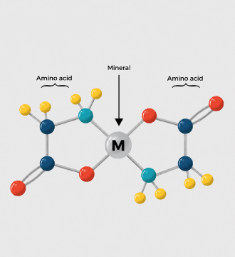 Chelated Minerals For Animal Feed