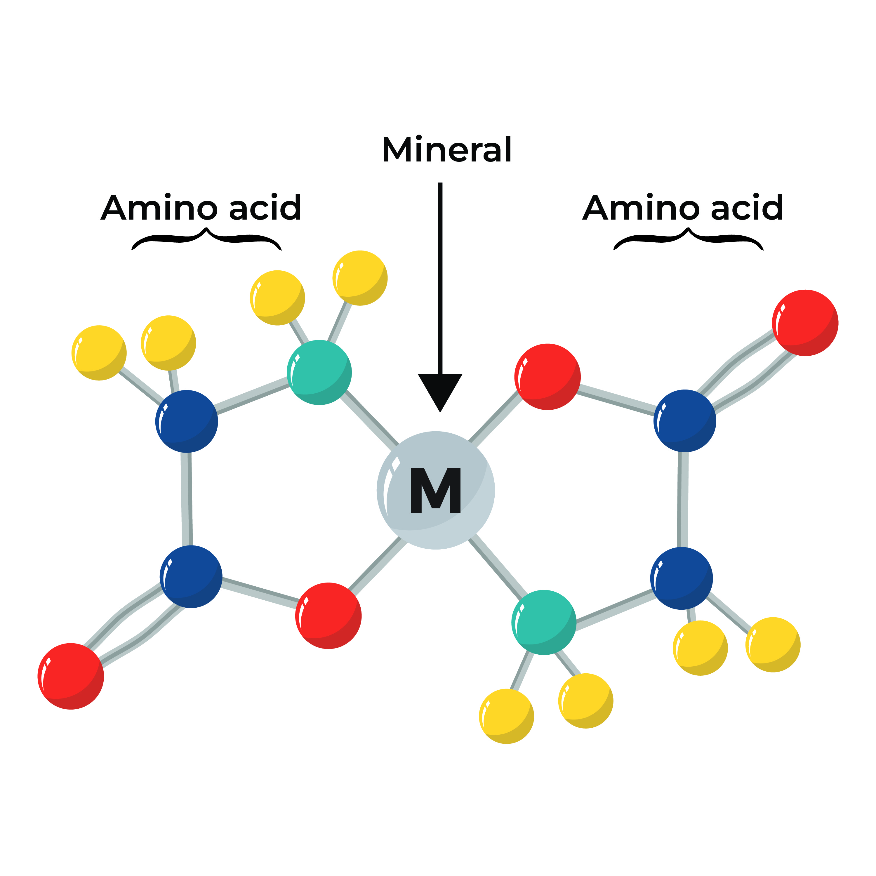 Chelated Minerals
