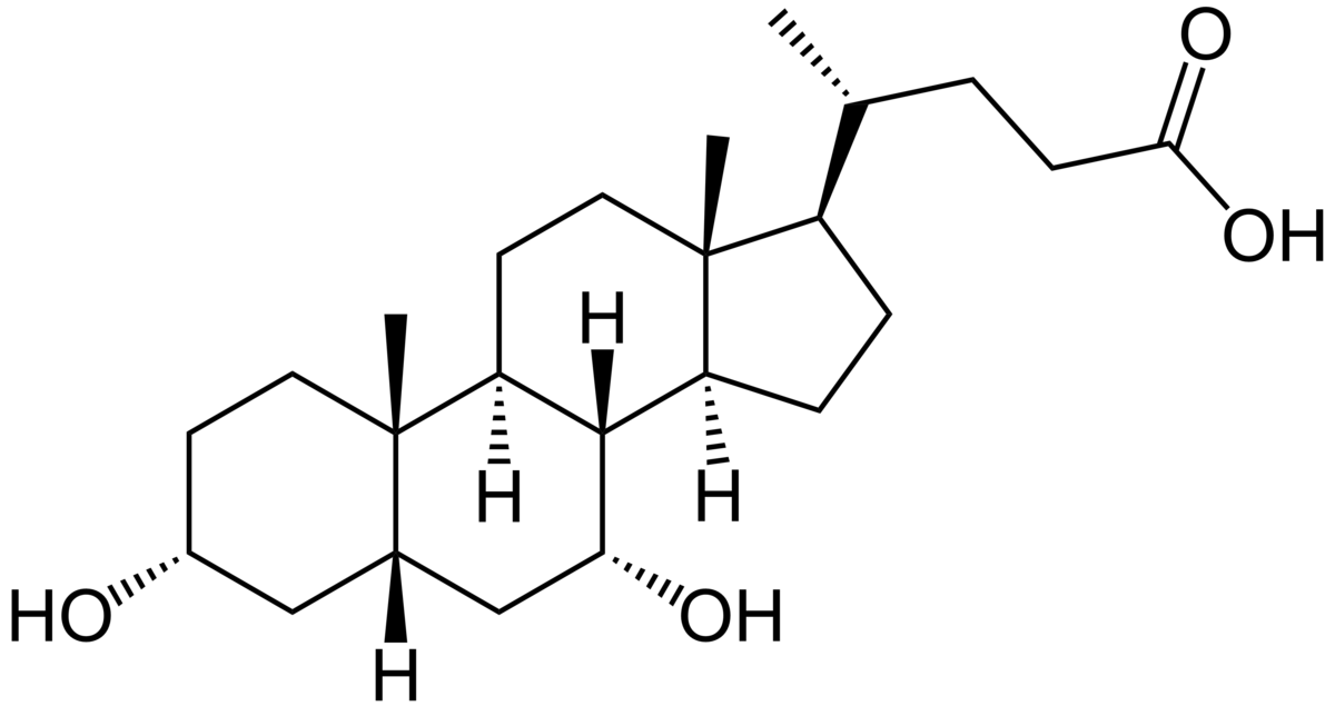 Chenodeoxycholic Acid ( CDCA)
