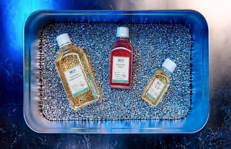 CHO Prime® Media & Feeds for CHO cell culture