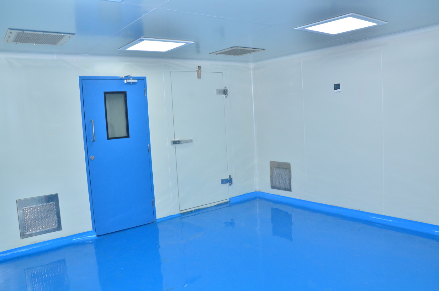 Clean Room Doors/window