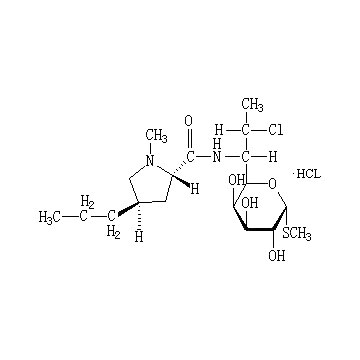 Clindamycin Hydrochloride