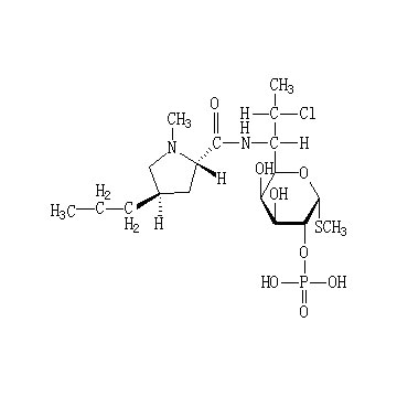 Clindamycin Phosphate