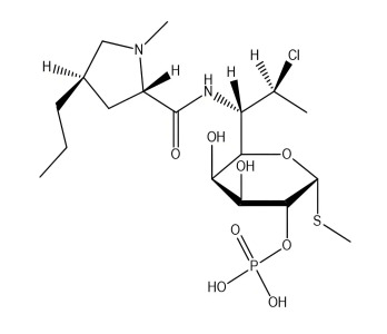 Clindamycin phosphate injection/Gel