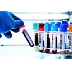 Clinical Laboratory