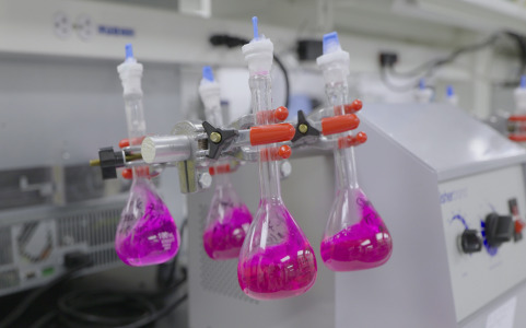 Clinical Trials Services