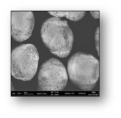 Clopidogrel Bisulfate (Clopidogrel Hydrogen Sulfate) 2