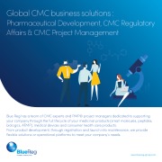 CMC Services - Chemistry, Manufacturing and Controls