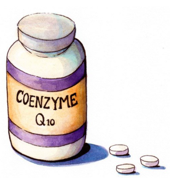Coenzyme Q10 powder & granule forms.