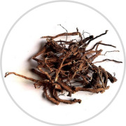 Coleus Forskohlii Extract