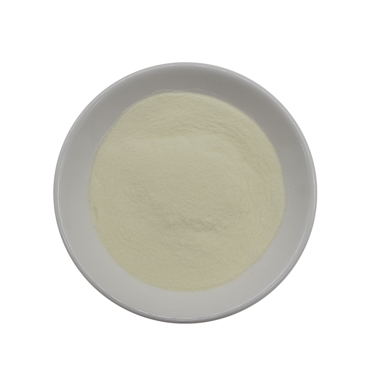 Collagen Powder 2