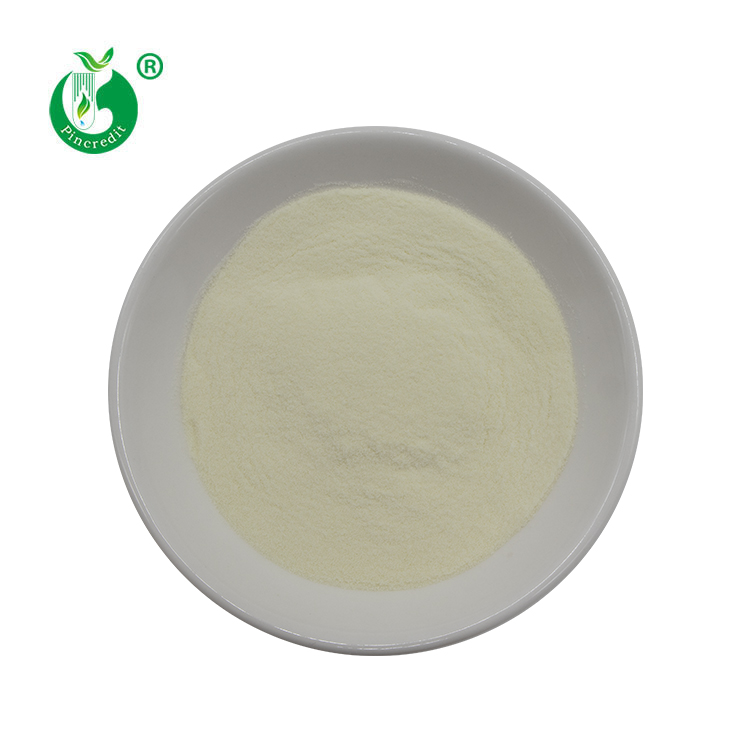 Collagen Powder 1