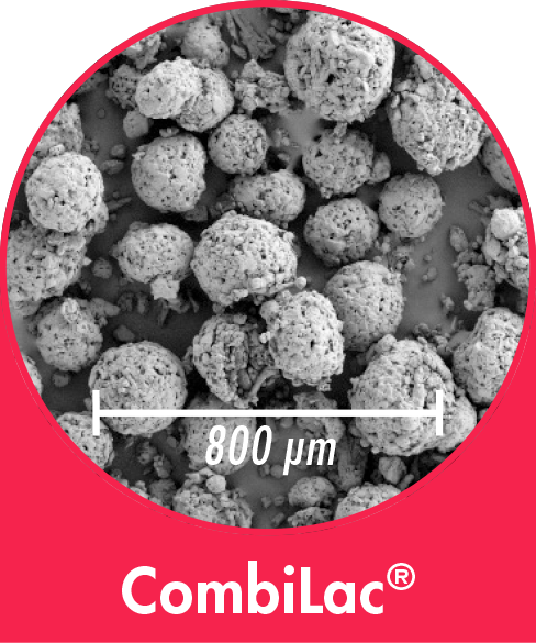 CombiLac - co-processed Excipient 1