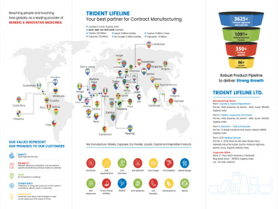 Company Brochure