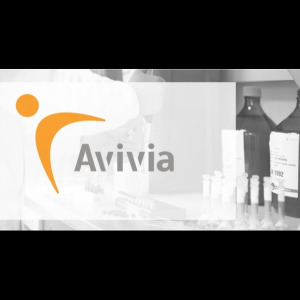 Complex Drug Formulation Development