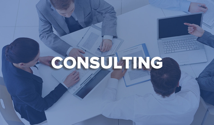 Consulting