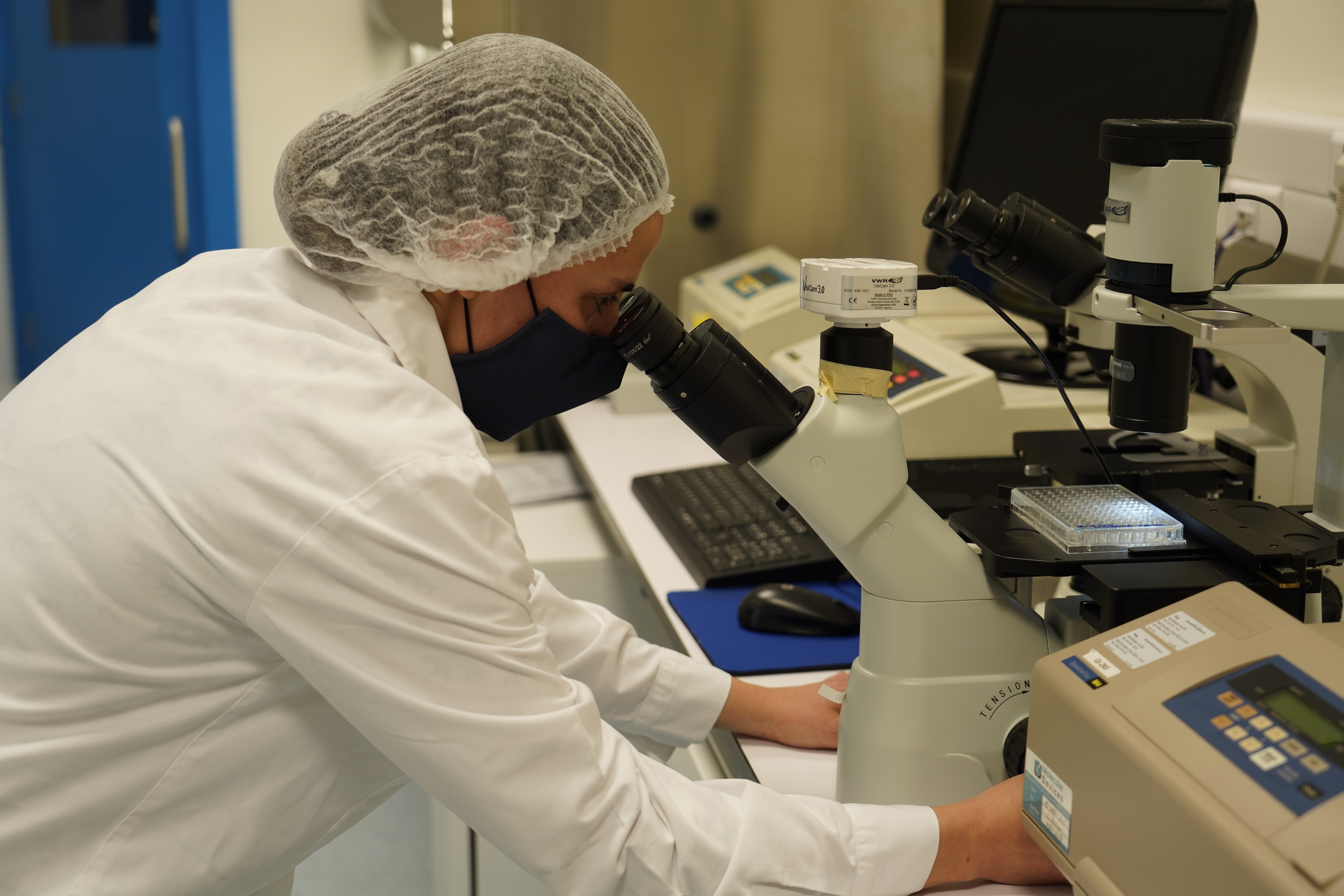 Contract Development Manufacturing Organization (CDMO)