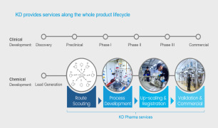 CONTRACT MANUFACTURING - SMALL MOLECULES