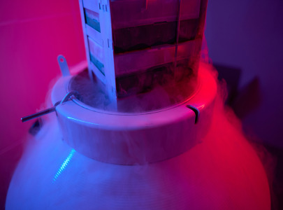 Cord Blood Banking and Freezing Bags - Medical Devices