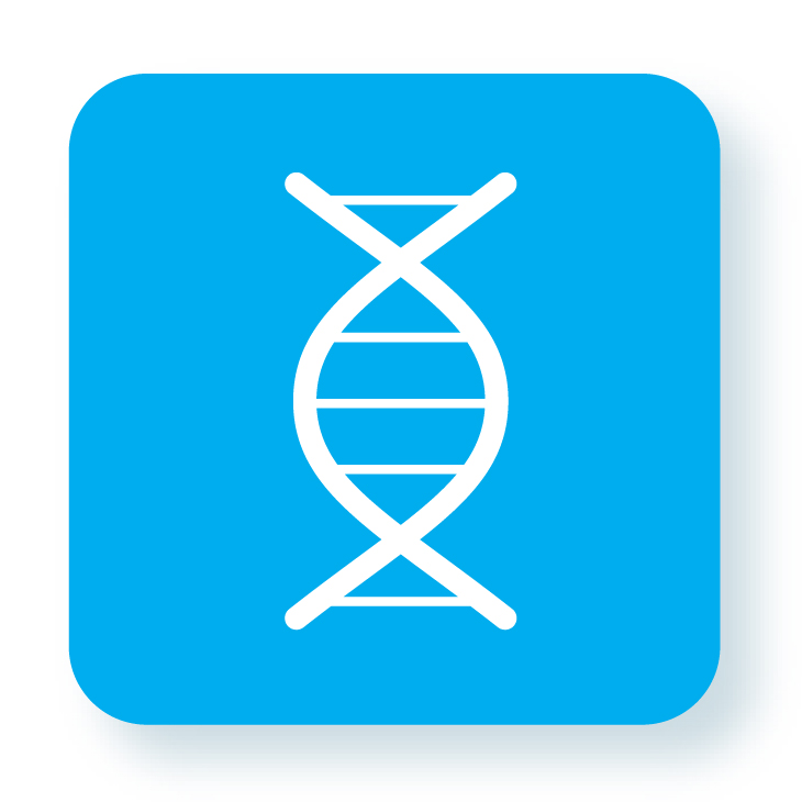 CordenPharma Oligonucleotide Platform