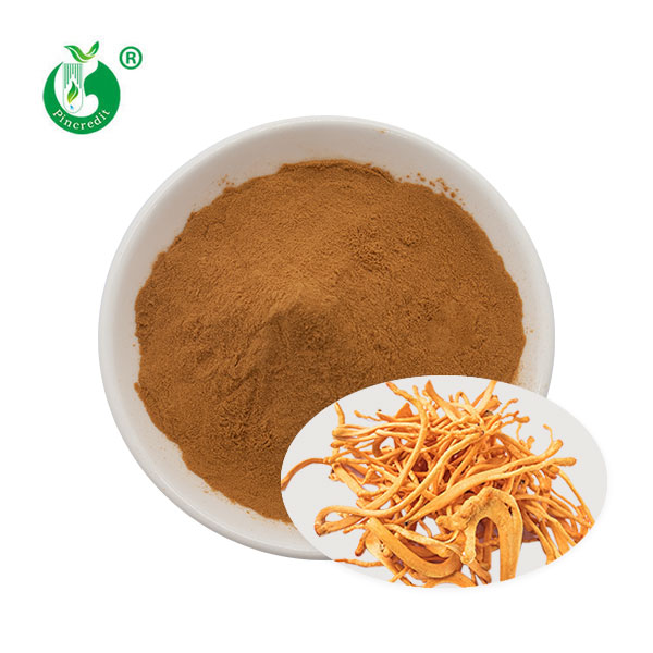 Cordyceps Militaris Extract 1