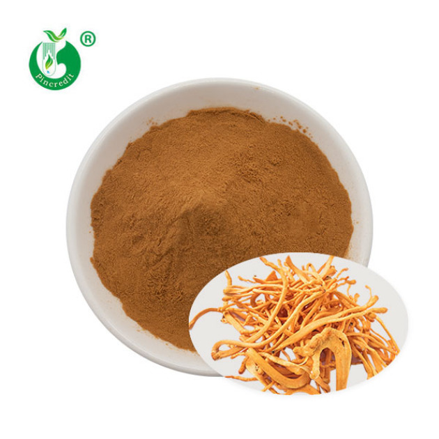 Cordyceps Militaris Extract