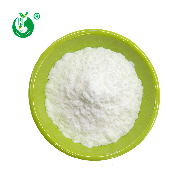 Creatine Monohydrate Powder 1